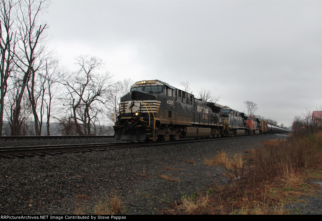 NS 4365 leads ethanol empties down the siding